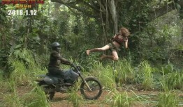 2017丛林在线观看免费,揭秘神秘丛林冒险之旅